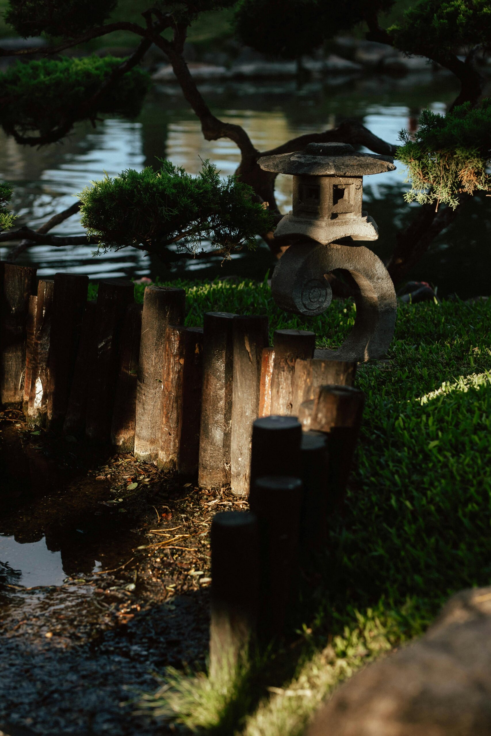 pexels-gera-cejas-3616330-30977505